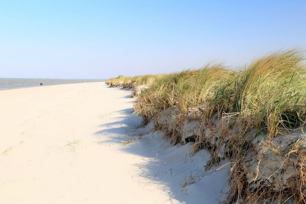 Foto van 50.6.N Dwarslöper - Vakantiehuis in Wangerland - Untagged