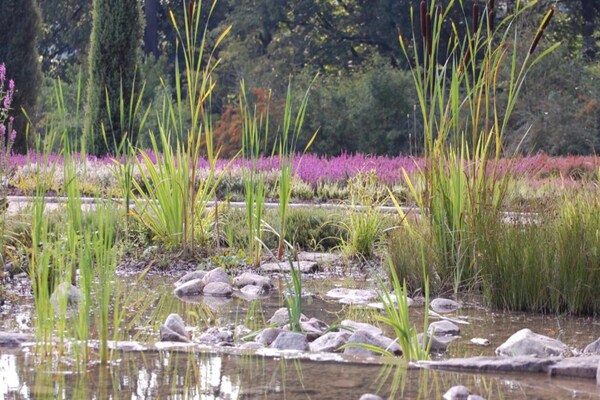 Foto van Heide Comfort Verblijf - Vakantiehuis in Schneverdingen - AreaSummer20KM