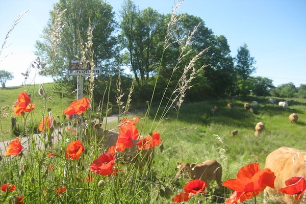 Foto van Vakantiehuis in  - Vakantiehuis in  - Untagged