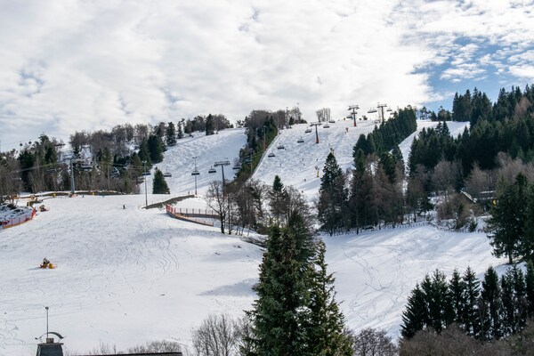 Foto van 2 aparte appartementen met balkon aan de skipiste - Vakantiehuis in Willingen - ExteriorWinter