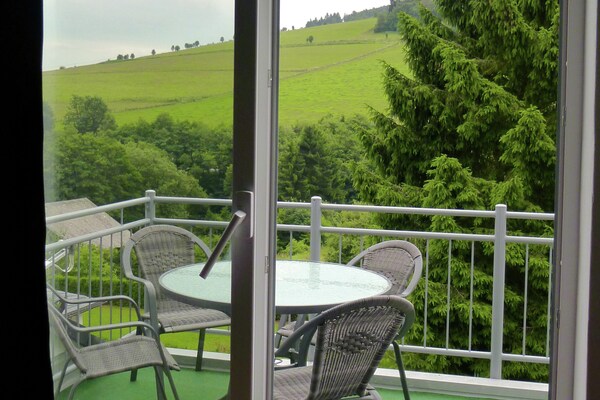 Foto van 2 aparte appartementen met balkon aan de skipiste - Vakantiehuis in Willingen - TerraceBalcony