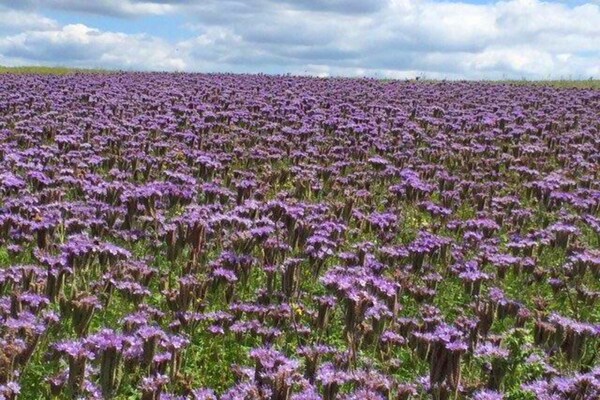Foto van Gezellig huis in wandelgebied - Vakantiehuis in Großalmerode ot Trubenhausen - AreaSummer5KM