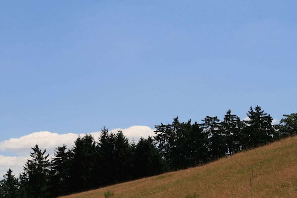 Foto van Eifelcottage Wilde Vogel - Vakantiehuis in Meiserich - Untagged