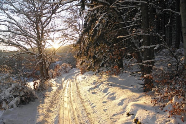 Foto van Medebach Natuur Appartement - Vakantiehuis in Medebach - AreaWinter20KM