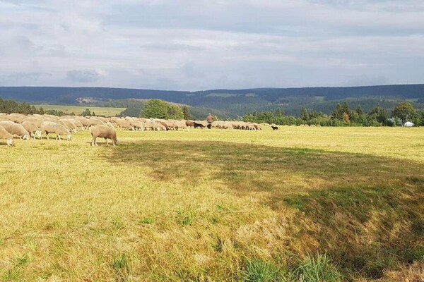 Foto van Ruim verblijf nabij wandelpaden - Vakantiehuis in Heubach - AreaSummer20KM