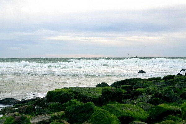 Foto van Appartement in Westerland op Sylt - Vakantiehuis in Westerland - AreaSummer5KM