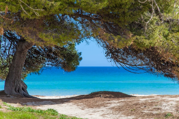 Foto van Appartement in Alcúdia aan het strand - Vakantiehuis in Port D'alcudia, Illes Balears - AreaSummer5KM