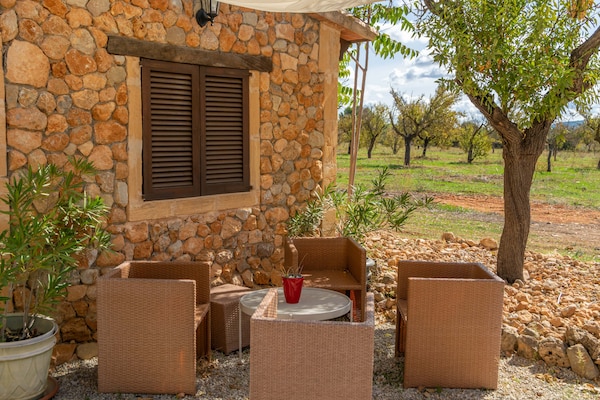 Foto van Villa in Santa Maria met zoutwaterzwembad - Vakantiehuis in Santa María Del Cami, Illes Balears - GardenSummer