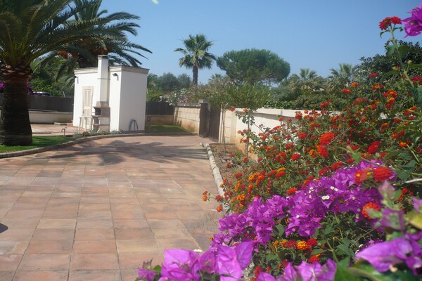 Foto van Villa in Sa Coma met zwembad bij strand - Vakantiehuis in Sa Coma, Illes Balears - GardenSummer