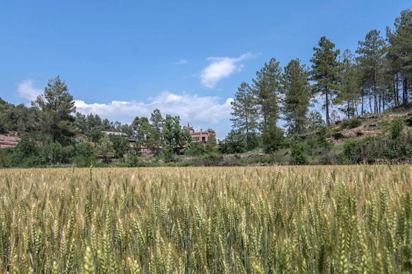 Foto van Landhuis bij Pedraforca Bergen - Vakantiehuis in Castellnou de Bages - ViewSummer