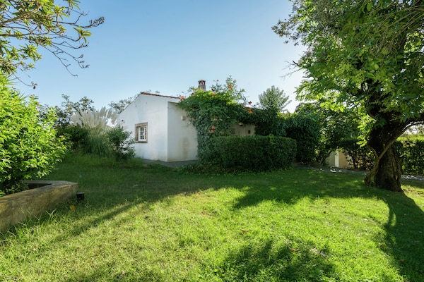 Foto van Vakantiehuis in Herrera aan de rivier de Tajo - Vakantiehuis in Herrera de Alcántara - GardenSummer