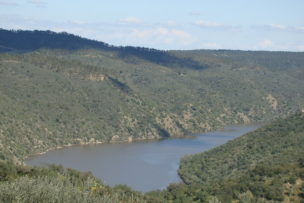 Foto van Vakantiehuis in Herrera aan de rivier de Tajo - Vakantiehuis in Herrera de Alcántara - AreaSummer5KM