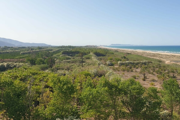 Foto van 41. AG AIGUABLAVA 6-5 - Vakantiehuis in Playa de Gandía - Untagged