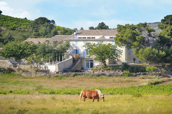 Foto van Serene familie-ontsnapping - Vakantiehuis in Villesèque-des-Corbières - ExteriorSummer