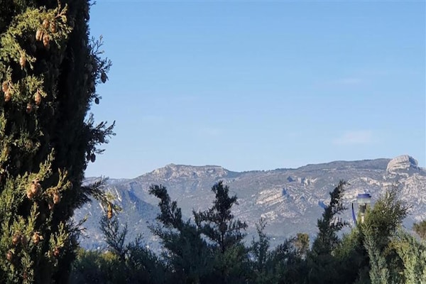 Foto van Chalet in Provence met Schaduwrijke Pijnbomen - Vakantiehuis in Carnoux-en-Provence - AreaSummer20KM