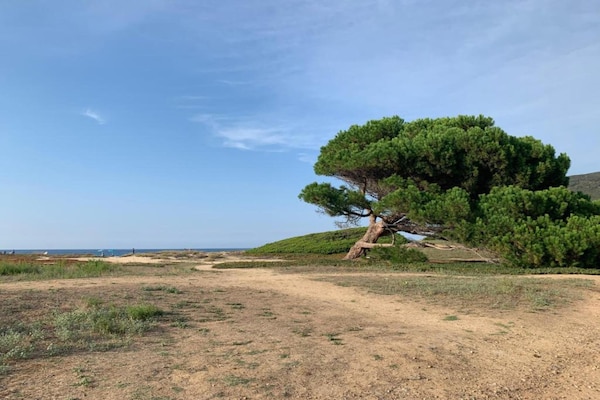 Foto van Vakantiepark op Corsica met Terras - Vakantiehuis in Belgodere - AreaSummer5KM