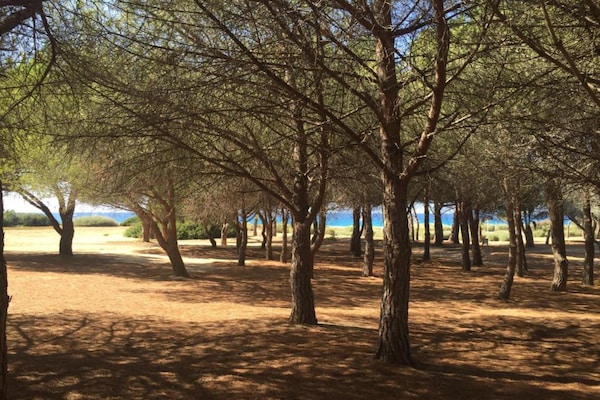 Foto van Vakantiepark op Corsica met Terras - Vakantiehuis in Belgodere - AreaSummer5KM