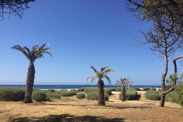 Foto van Vakantiepark op Corsica met Terras - Vakantiehuis in Belgodere - AreaSummer5KM