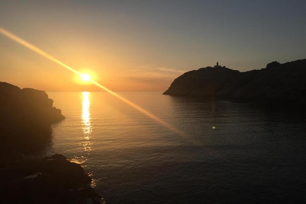 Foto van Vakantiepark op Corsica met Terras - Vakantiehuis in Belgodere - AreaSummer5KM