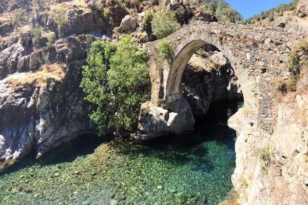 Foto van Vakantiepark op Corsica met Terras - Vakantiehuis in Belgodere - AreaSummer5KM