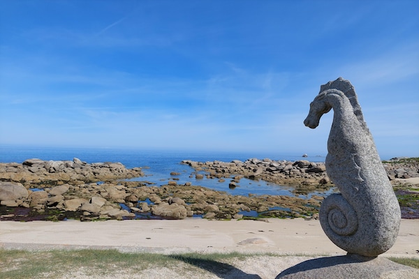 Foto van Vakantiehuis in Bretagne met Uitzicht op Zee - Vakantiehuis in Cléder - AreaSummer5KM
