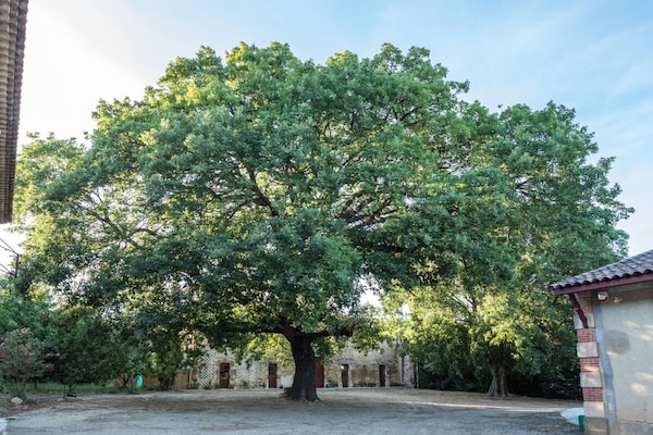 Foto van Gîte Les Vendangeurs - Vakantiehuis in Servian - Untagged