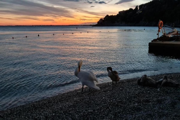 Foto van Chalet in Auris-en-Oisans met Balkonuitzicht - Vakantiehuis in Auris - AreaSummer20KM
