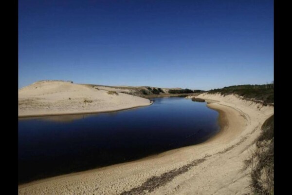 Foto van Appartement in Frankrijk met tuin of terras - Vakantiehuis in Moliets et maa - AreaSummer20KM