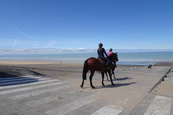 Foto van 2 huizen voor een groot gezin of groep. - Vakantiehuis in Gouville sur mer - AreaSummer20KM