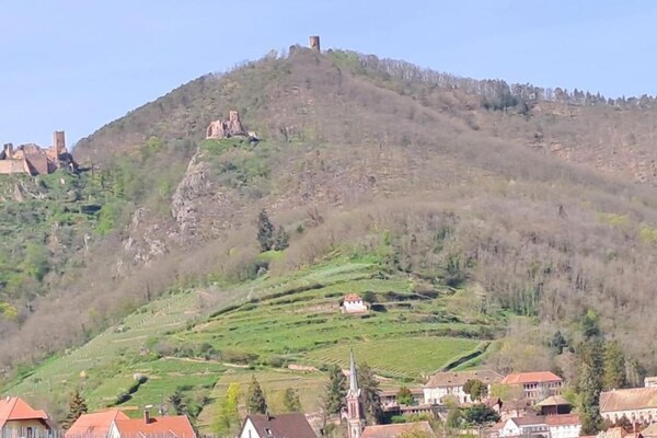 Foto van Appartement in Bergheim bij Elzas Wijngaarden - Vakantiehuis in Bergheim - AreaSummer5KM