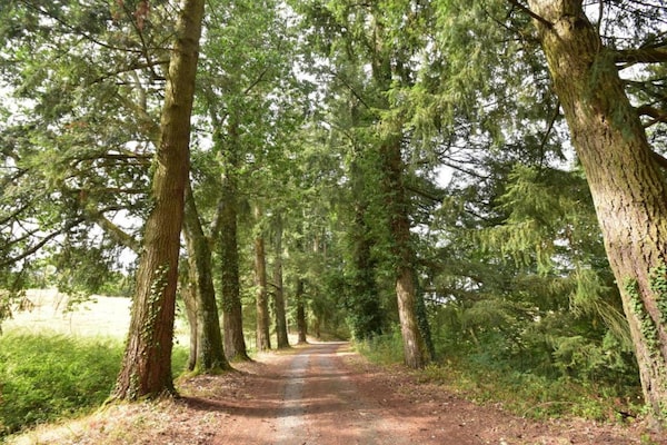 Foto van Landhuis in Cuzy met zwembad en boszicht - Vakantiehuis in Cuzy - AreaSummer20KM