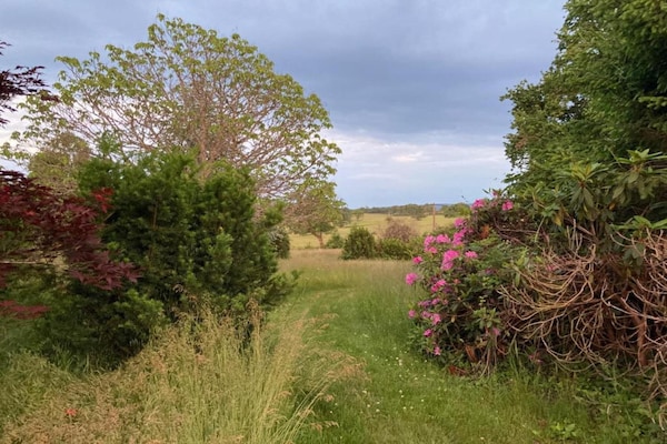 Foto van Landhuis in Cuzy met zwembad en boszicht - Vakantiehuis in Cuzy - AreaSummer20KM