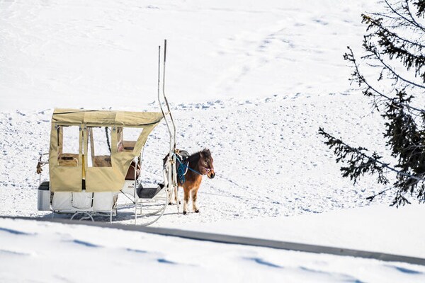 Foto van Comfortabel familieappartement met uitzicht op het meer - Untagged