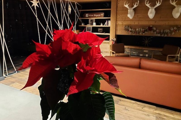 Foto van Residentie Le Ridge met vier kamers - Vakantiehuis in BOURG ST MAURICE - 