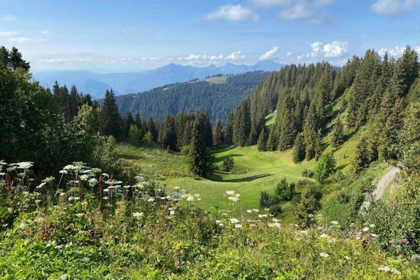Foto van Gezellig Alpenappartement voor 6 personen - Vakantiehuis in Arâches-La-Frasse - ParkFacilities