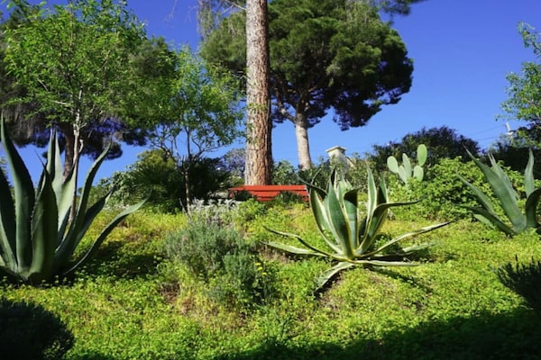 Foto van De kleine Provence || Cavalaire - Vakantiehuis in Cavalaire - Untagged