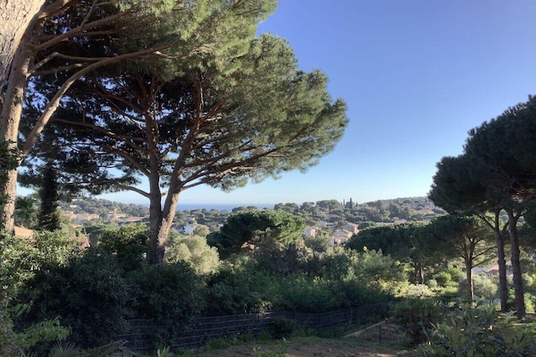 Foto van De kleine Provence || Cavalaire - Vakantiehuis in Cavalaire - Untagged