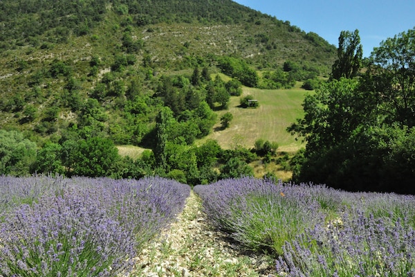 Foto van Villa in Malaucène bij Mont Ventoux - Vakantiehuis in Malaucène - AreaSummer5KM