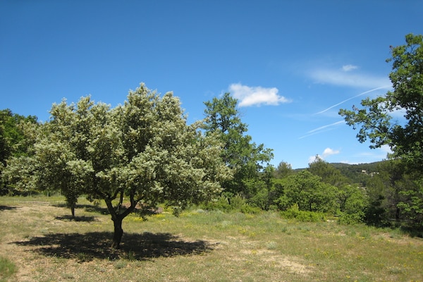 Foto van Geweldige hoeve met zwembad in het 'Provençaalse Venetië' Isle sur la Sorgue - AreaSummer5KM