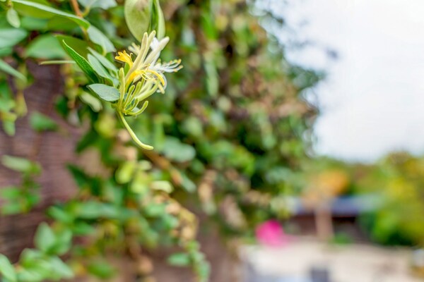 Foto van Mooi huis met grote tuin - Vakantiehuis in Châtellerault - Ambiance