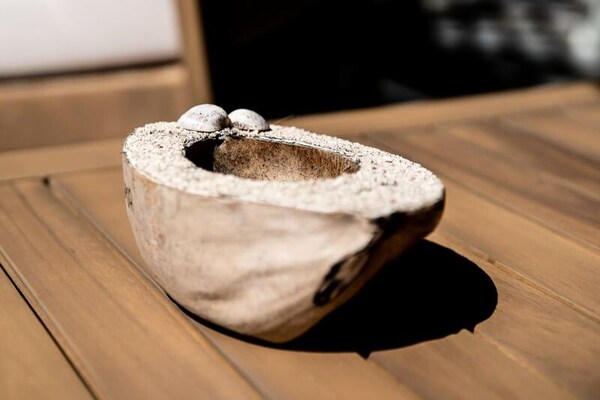 Foto van Appartement Rere D'outre Mer - Vakantiehuis in Saint François - 