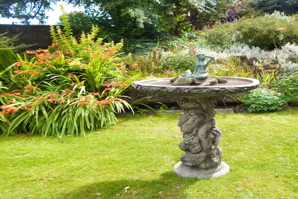 Foto van Boshuis in het centrum van het Forest of Dean - Vakantiehuis in Coleford - GardenSummer