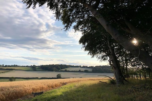 Foto van Safaritent bij Hertford Meer met Bubbelbad - Vakantiehuis in Hertford - AreaSummer20KM