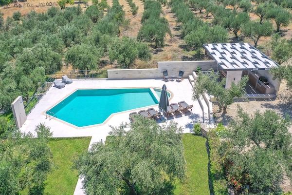 Foto van Villa in Adele met zwembad en olijfboomzicht - Vakantiehuis in Adèle - PoolOfHouse
