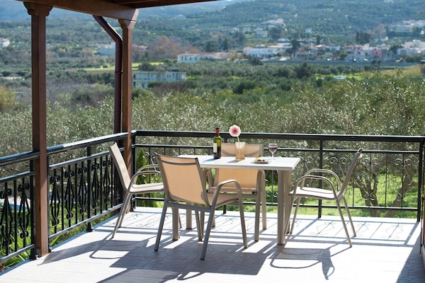 Foto van Villa in Adele met zwembad en olijfboomzicht - Vakantiehuis in Adèle - TerraceBalcony