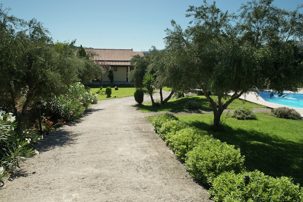 Foto van Villa in Adele met zwembad en olijfboomzicht - Vakantiehuis in Adèle - GardenSummer