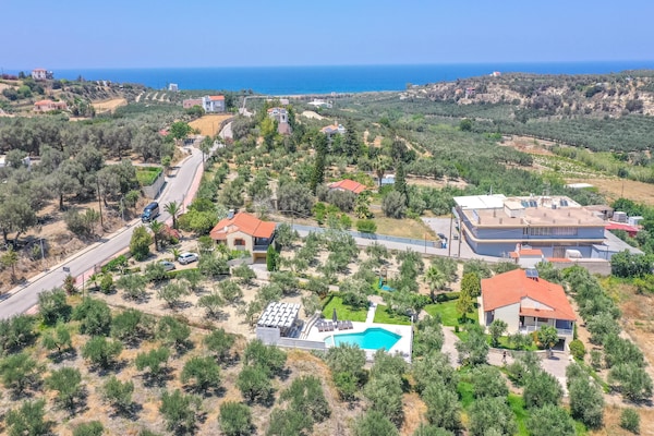 Foto van Villa in Adele met zwembad en olijfboomzicht - Vakantiehuis in Adèle - AreaSummer1KM