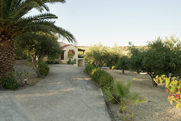 Foto van Villa in Adele met zwembad en olijfboomzicht - Vakantiehuis in Adèle - ExteriorSummer