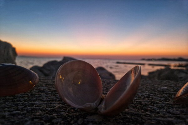 Foto van Dalmatino Pleasure Mobile Home - Two Bedroom Mobile Home with Terrace - Ambiance