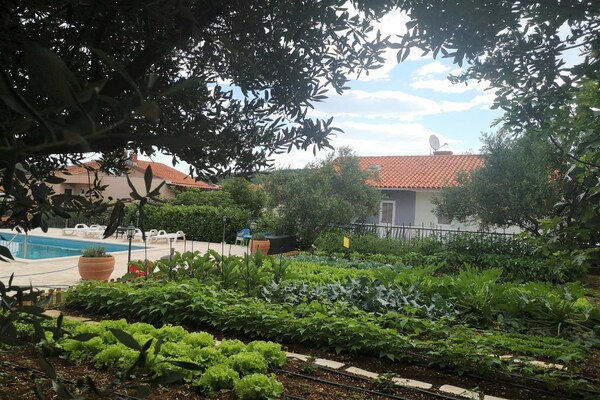 Foto van Appartement in Čiovo met groot balkon - Vakantiehuis in Okrug Gornji - GardenSummer